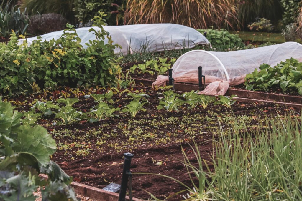 gardening soil mix how to make a gardening soil mix