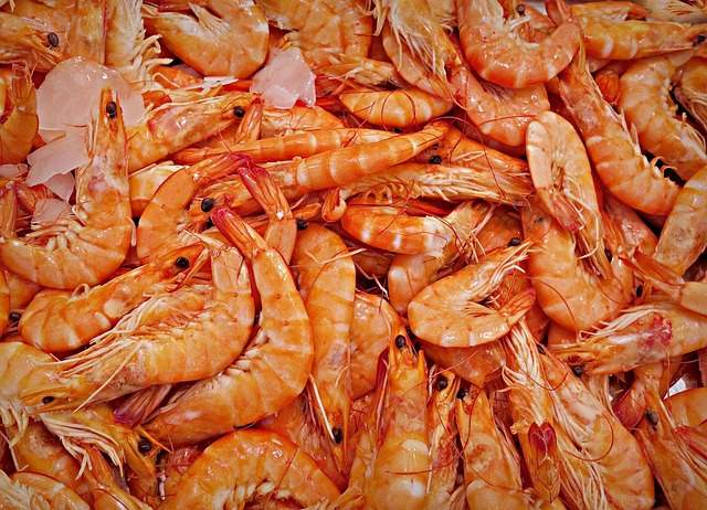 making crustacean meal