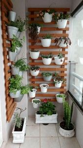 start a garden in your apartment