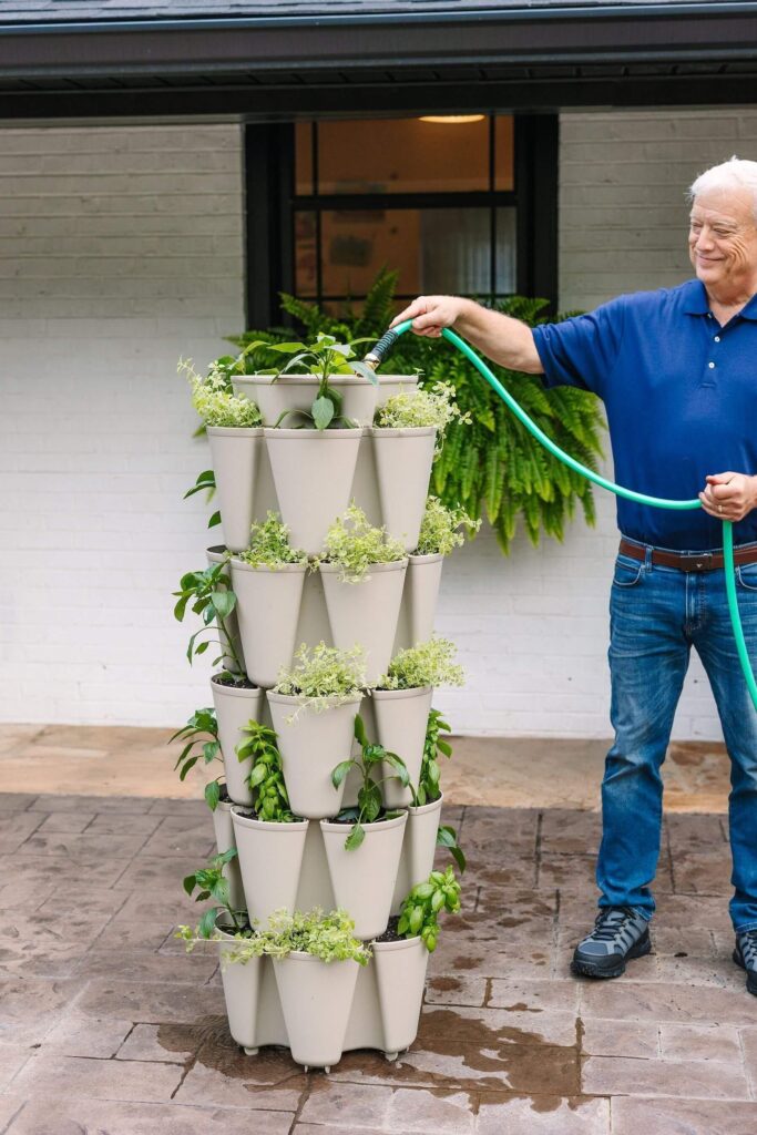 starting a vertical garden