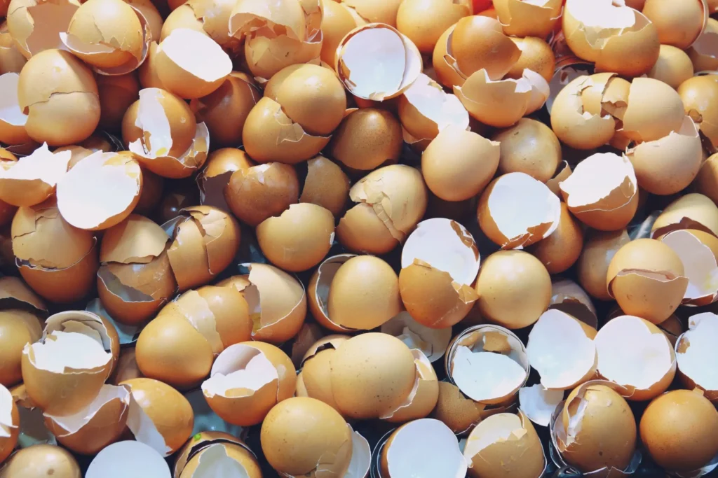 ways to use eggshells