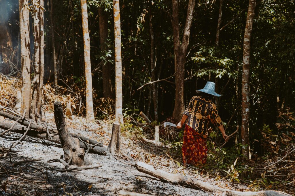 living a nature-aligned lifestyle