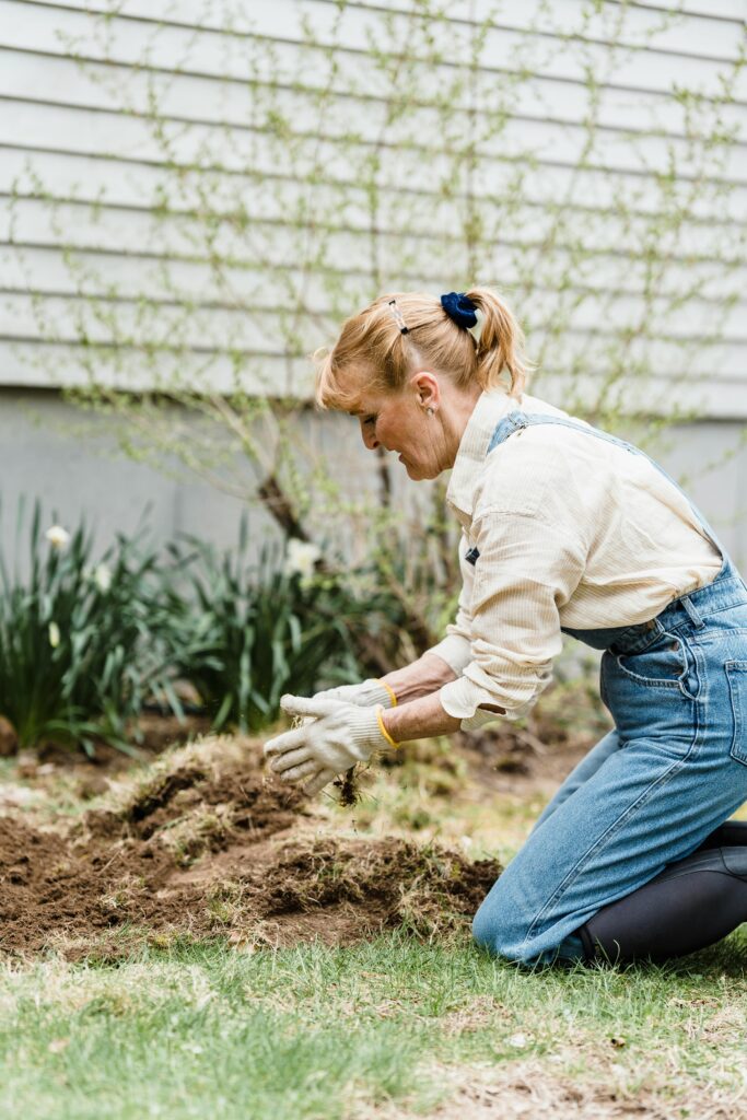 understanding the soil food web